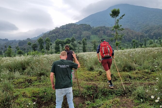 Full day Mt. Bisoke hike - Key points to know before you book