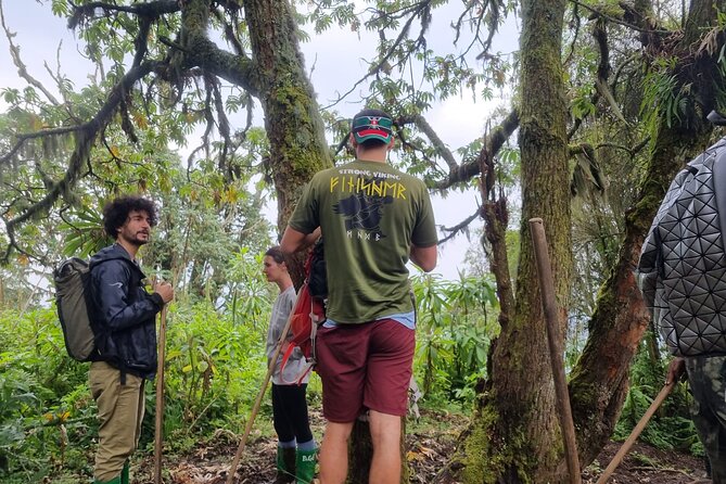 Full day Mt. Bisoke hike - What the Bisoke hike is like