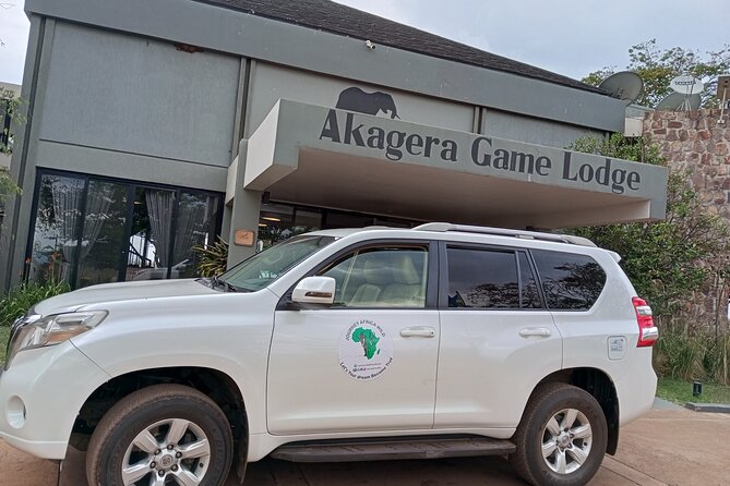 Full-Day Private Safari of Akagera National Park with Lunch - A Short Break at Imigongo Art Center