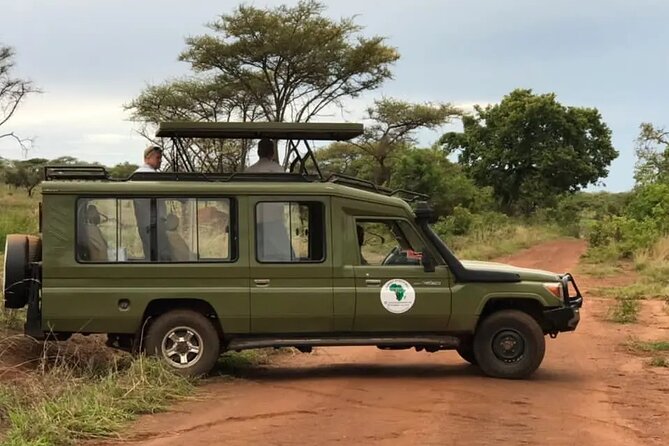 Full-Day Private Safari of Akagera National Park with Lunch - The Long Road East From Kigali
