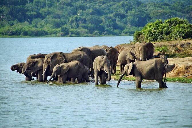 Full Day Shared Akagera Safari Tour with Lunch and Coffee - The three-hour road to Akagera