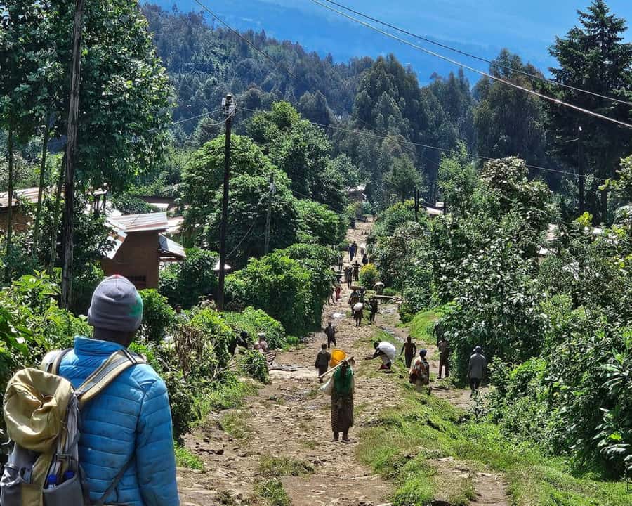 Golden Monkey Trekking with lunch - Why golden monkey trekking is a smart Rwanda day trip