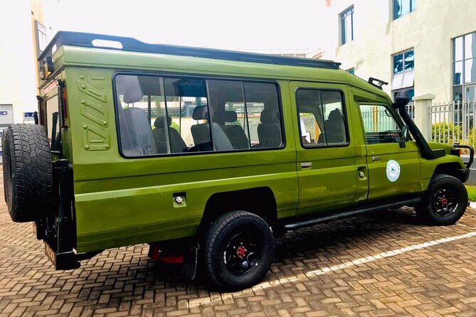 Gorilla trekking &wildlife adventure in Rwanda - Golden monkeys add a second primate encounter