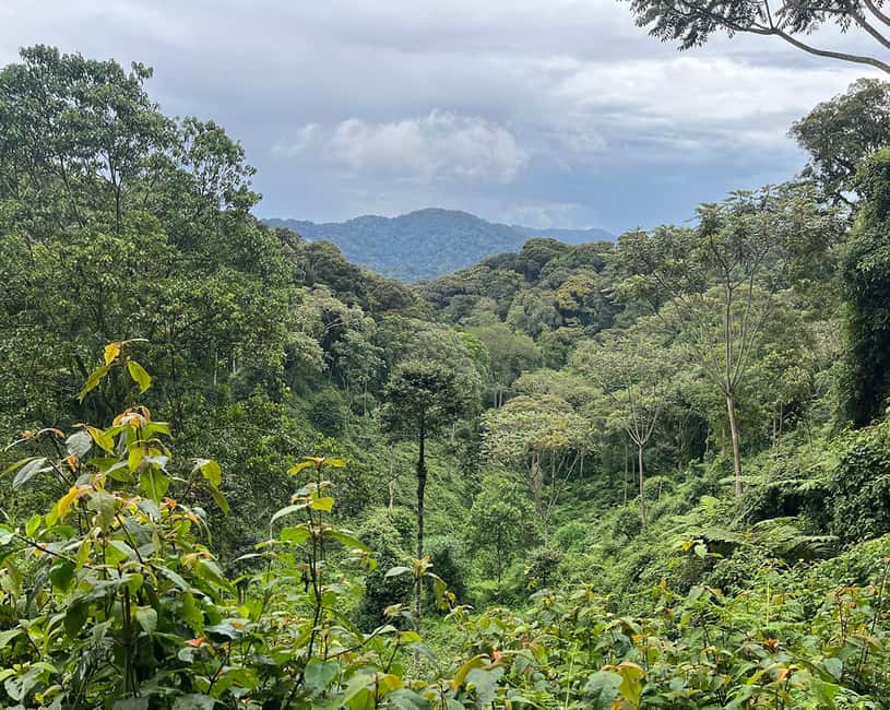 Kigali:1 Day Nyungwe Canopy Walk & Waterfall Tour adventure - The long road from Kigali to Nyungwe