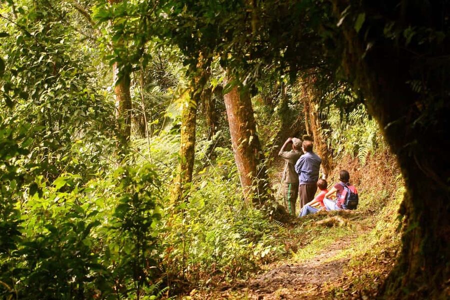 Kigali:1 Day Nyungwe Canopy Walk & Waterfall Tour adventure - First steps inside Nyungwe Forest National Park
