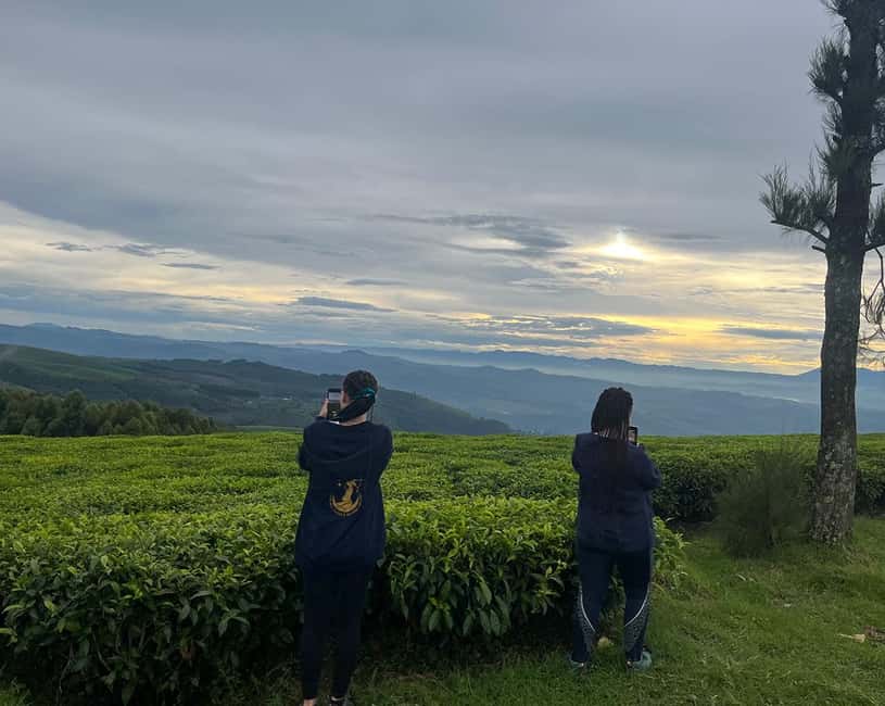 Kigali:1 Day Nyungwe Canopy Walk & Waterfall Tour adventure - Wildlife, plants, and the role of the guide