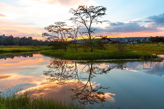 Kigali Day Tour With Lunch and Pickup Service - Nyandungu Eco-Park and Kigali’s wetlands