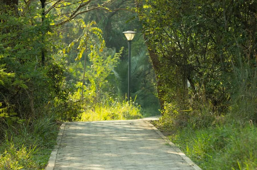 Kigali Eco Park Bird Watching Experience - Booking, timing, and small points to confirm