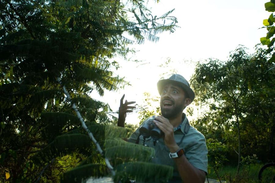 Kigali Eco Park Bird Watching Experience - Why Nyandungu works for a Kigali birding morning