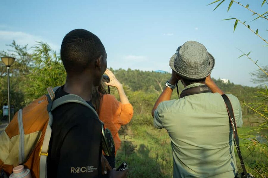Kigali Eco Park Bird Watching Experience - Forest, savannah, and the small details between sightings