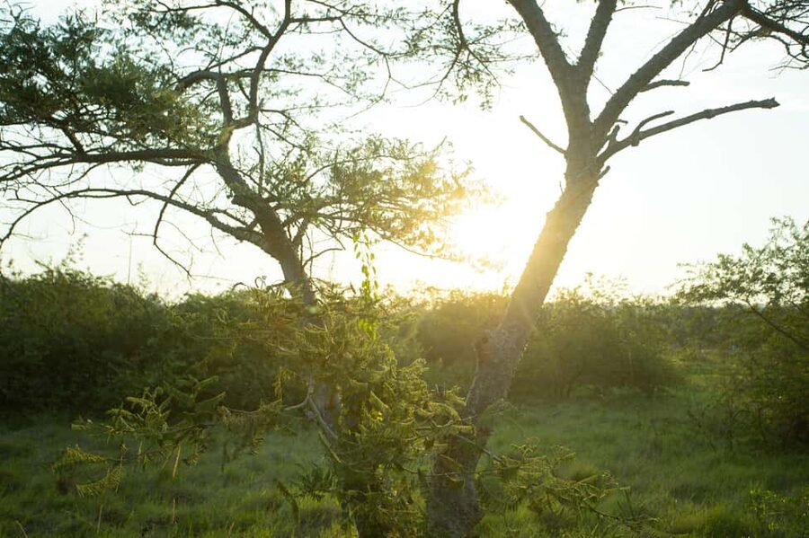 Kigali Eco Park Bird Watching Experience - Is $50 a fair price?