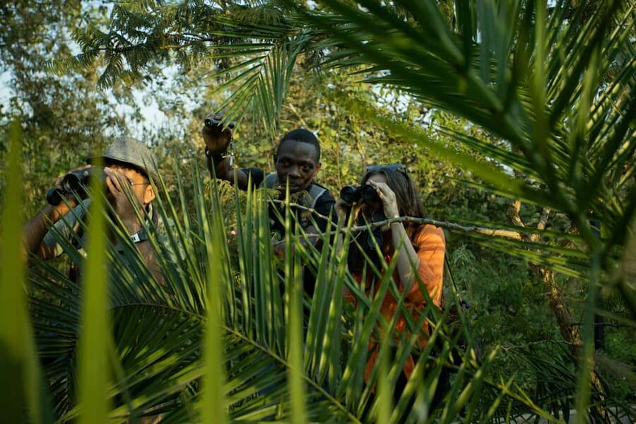 Kigali Eco Park Bird Watching Experience - What the four-hour walk is meant to include