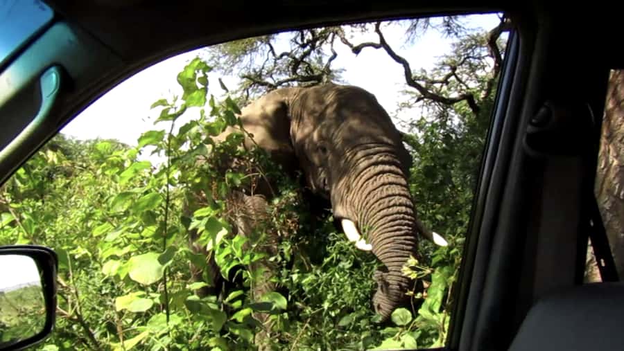Kigali: Full-Day Akagera Safari + Optional Boat Ride - Picnic lunch beside Akagera’s lakes