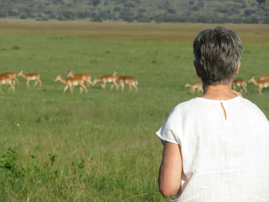 Kigali: Full-Day Akagera Safari + Optional Boat Ride - The second game drive and the road back to Kigali