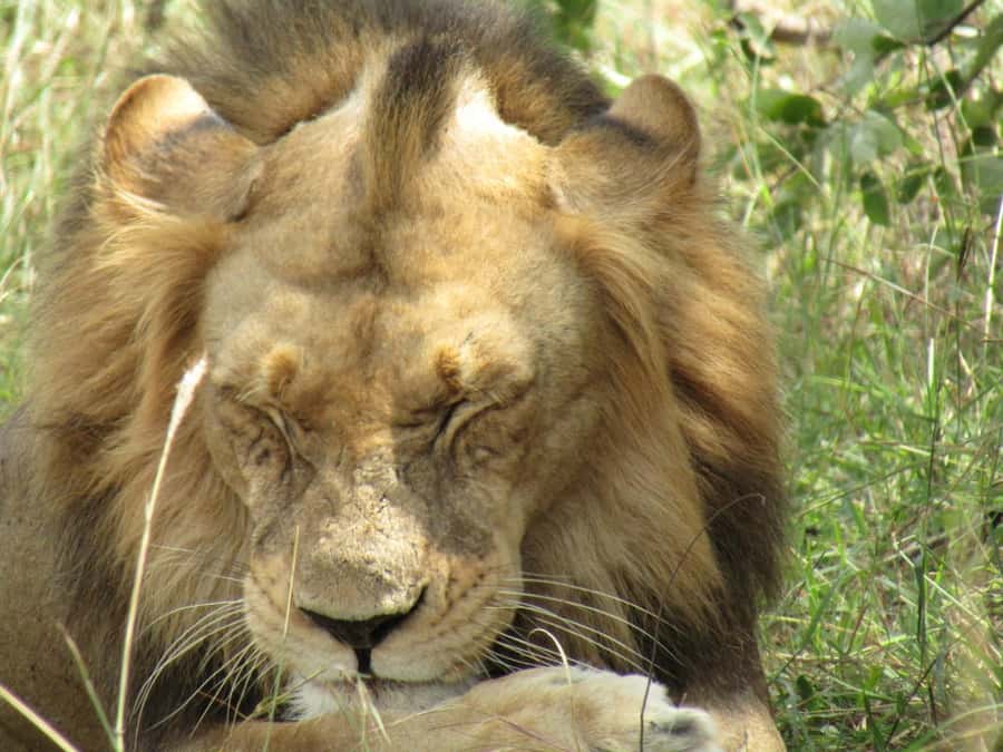Kigali: Full-Day Akagera Safari + Optional Boat Ride - Is $200 a fair price?