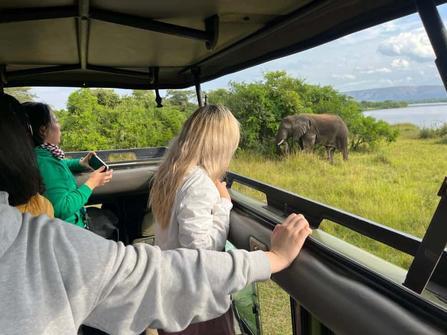 Kigali: Full-Day Akagera Safari + Optional Boat Ride - Leaving Kigali before the roads get busy