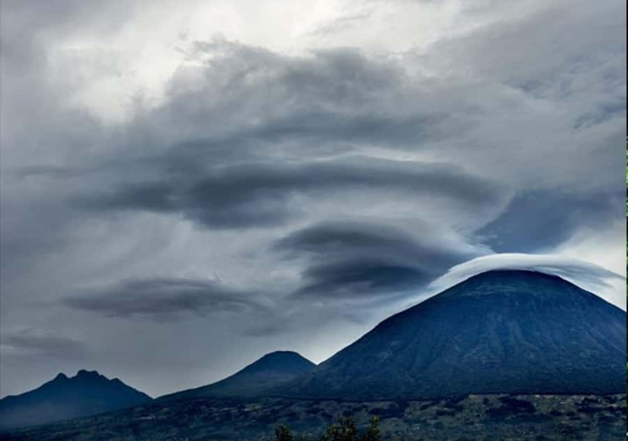 Kigali: Rwanda Gorilla Tracking in Volcanoes National Park - What the $260 price really covers