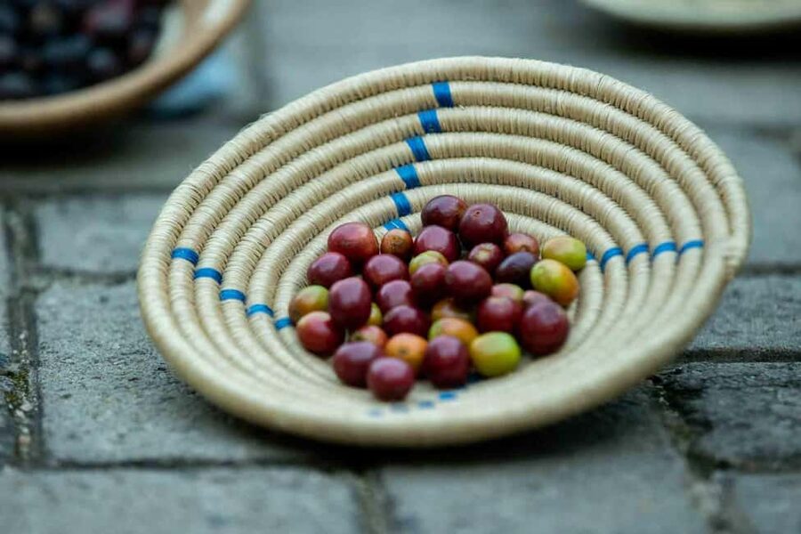 Kigali: Traditional Coffee Experience ( Bean to Brew) - Umurishyo Arts Gallery brings more than coffee