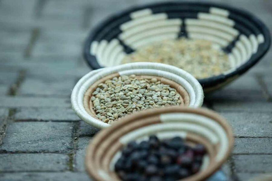 Kigali: Traditional Coffee Experience ( Bean to Brew) - What the tasting tells you