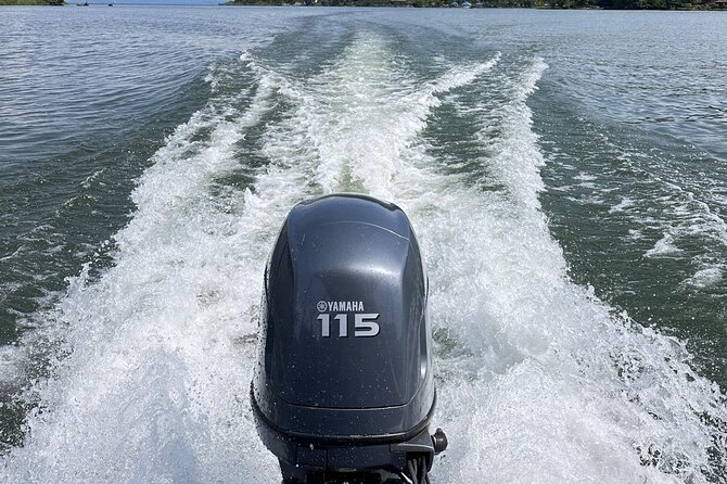 Lake Kivu Boat Trips & Experiences - Island wildlife, birds, and unusual sights