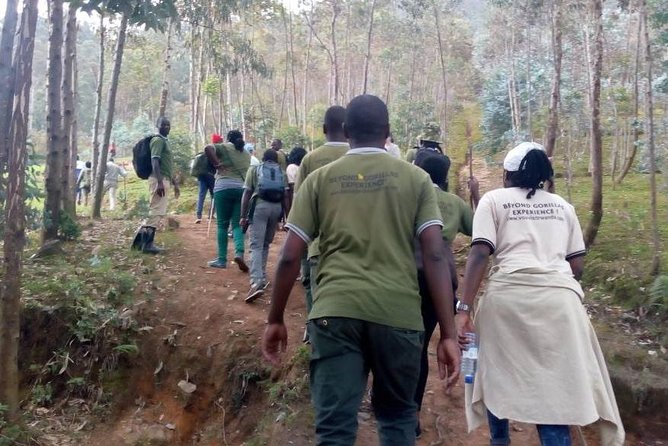Local hills hiking - Transport, meeting point, and group size