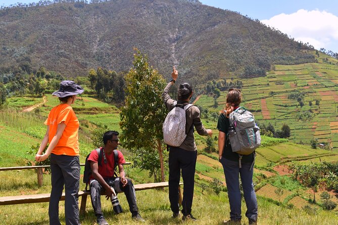 Mount Kabuye Hiking - Key points to know before you go
