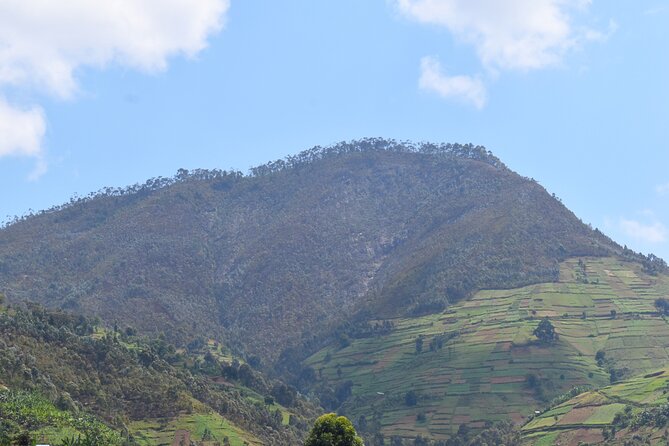 Mount Kabuye Hiking - The first climb takes about two and a half hours