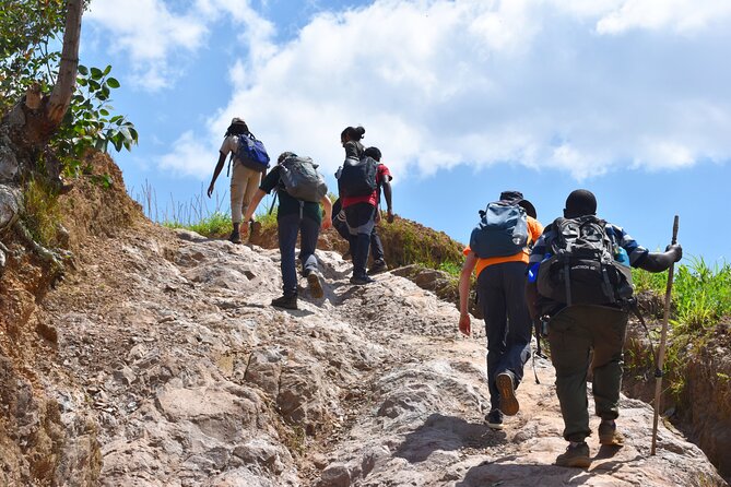 Mount Kabuye Hiking - The descent takes about two hours