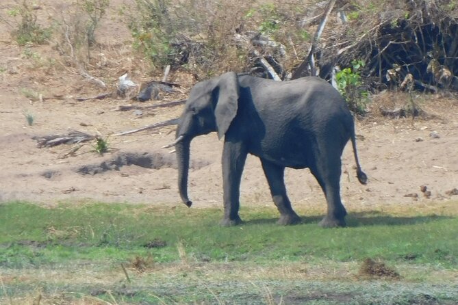 One Day Akagera Safari From Kigali - What the private format changes
