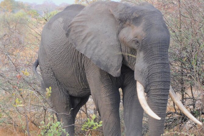 One Day Akagera Safari From Kigali - Lunch, comfort, and the practical rhythm