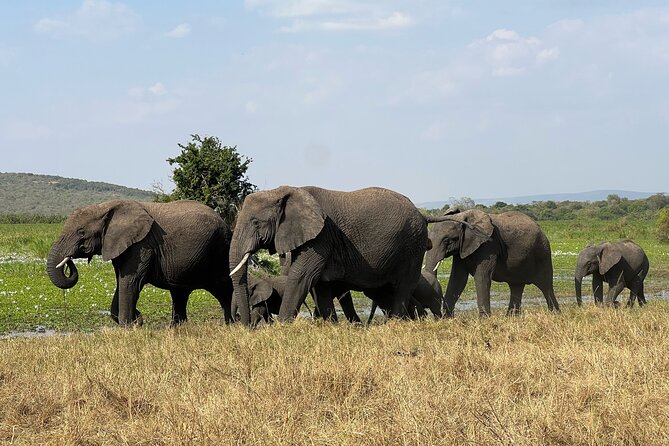 One Day Akagera Wildlife Safari - Who should book this safari