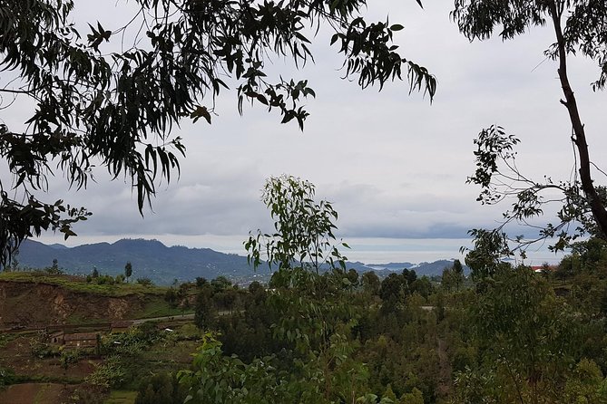 One-day Kivu Lake Adventure - Lunch beside the water