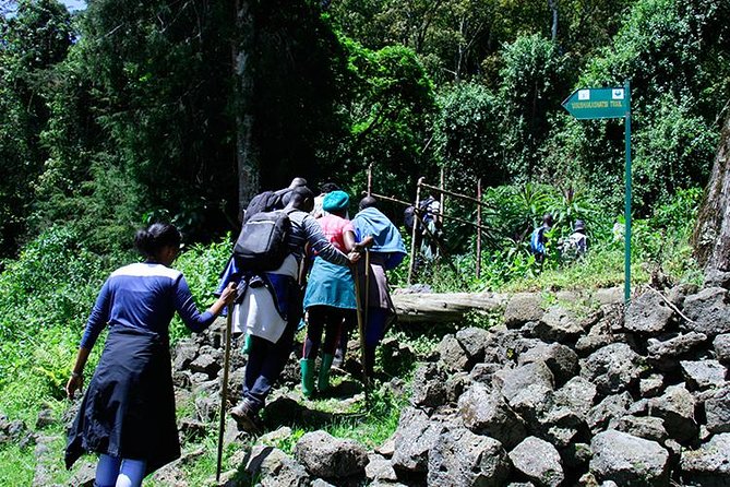 One Day Mount Bisoke Hike Adventure Tour in Volcanoes Park - Why Mount Bisoke makes a strong one-day goal