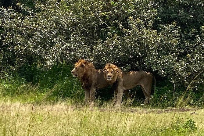 One Day Private Tour to Akagera National Park from Kigali - A 5:00 am start from Kigali