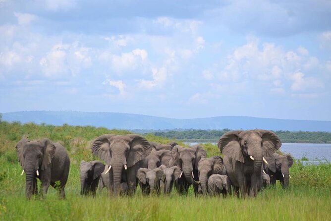Private 1 Day Akagera Big Five Safari with pick up and lunch. - Entering Akagera National Park