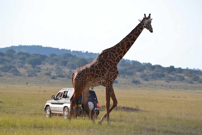Private 1 Day Akagera Big Five Safari with pick up and lunch. - Beyond the Big Five