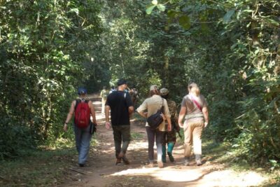 Private 2 Days Volcano Golden Monkey and Bwindi Gorilla Trek