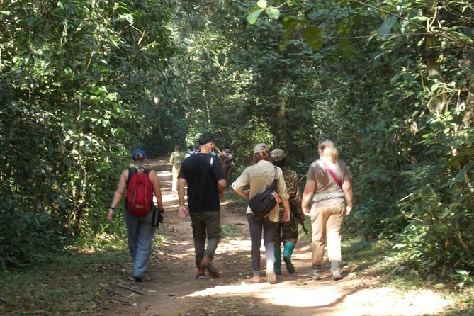Private 2 Days Volcano Golden Monkey and Bwindi Gorilla Trek - Leaving Kigali at 5:00 am for Kinigi