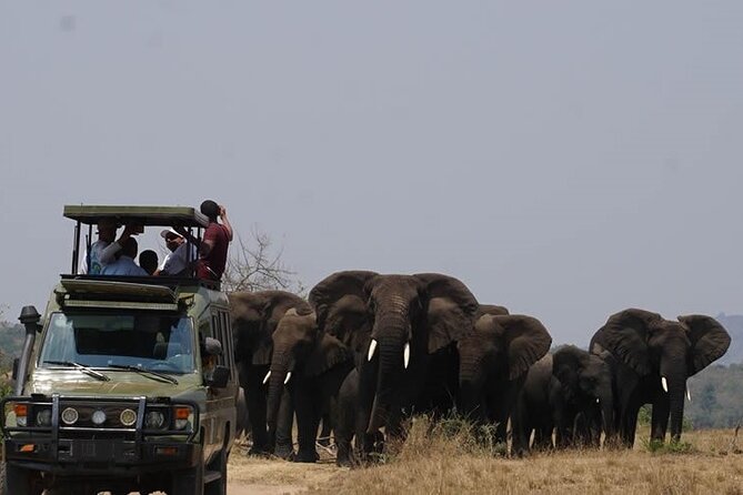 Private Full-Day Tour Akagera Game Drive - Key points to know before you book