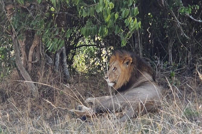 Private Full-Day Tour Akagera Game Drive - What the private format changes