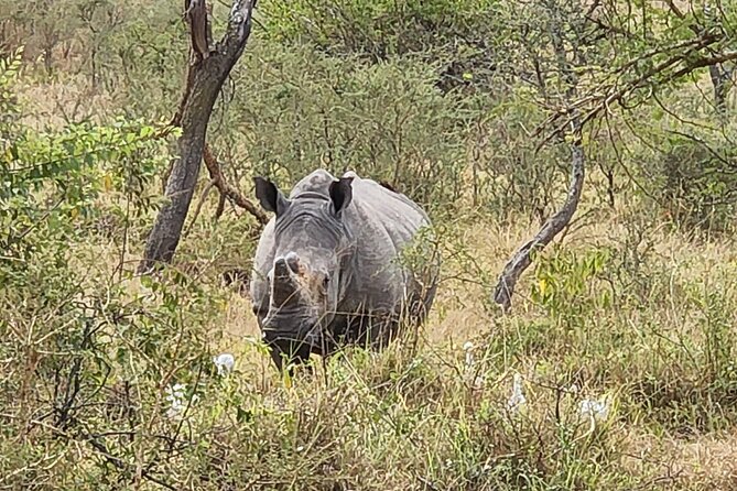 Private Full-Day Tour Akagera Game Drive - The long ride back to Kigali