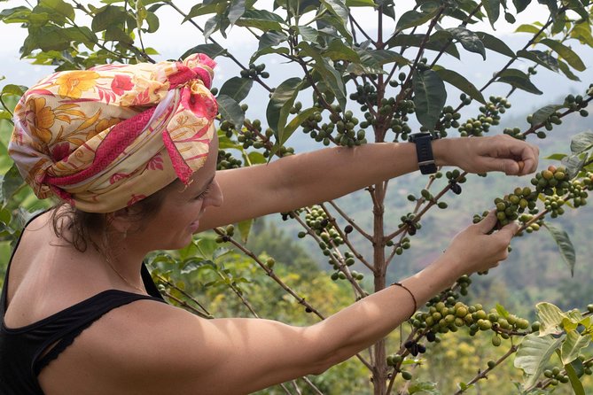 Rwandan Coffee Experience - Is $90 a fair price?