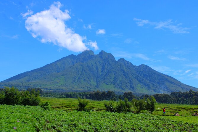 Scenic walk around volcanoes - Lunch with a view, at your own cost