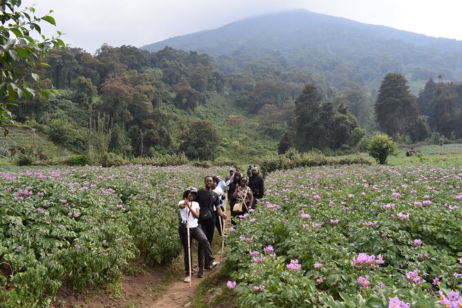 Scenic walk around volcanoes - The guide shapes the whole experience