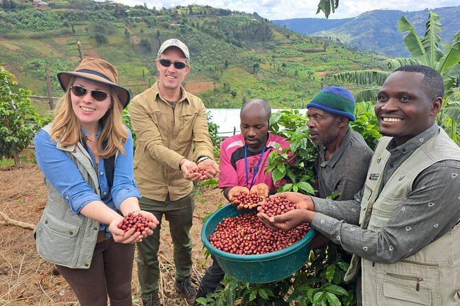 Tea and coffee tours - Key points to know