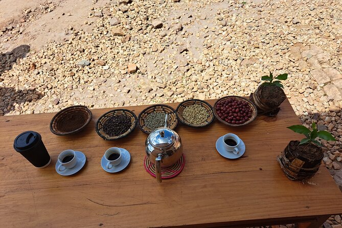 Tea and coffee tours - Seeing tea from harvest to packaging