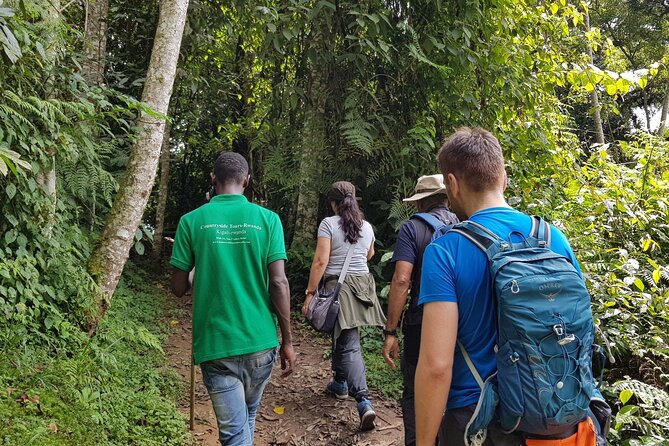 Three-day Nyungwe Canopy and Kivu Lake Adventure - Day 1: Nyungwe’s Uwinka Centre and the canopy walkway