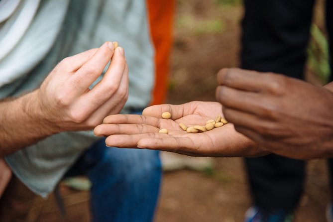 Women-led Coffee Farm Trek - From coffee plant to prepared bean